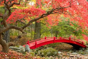 Японский сад: принципы и философия ландшафта